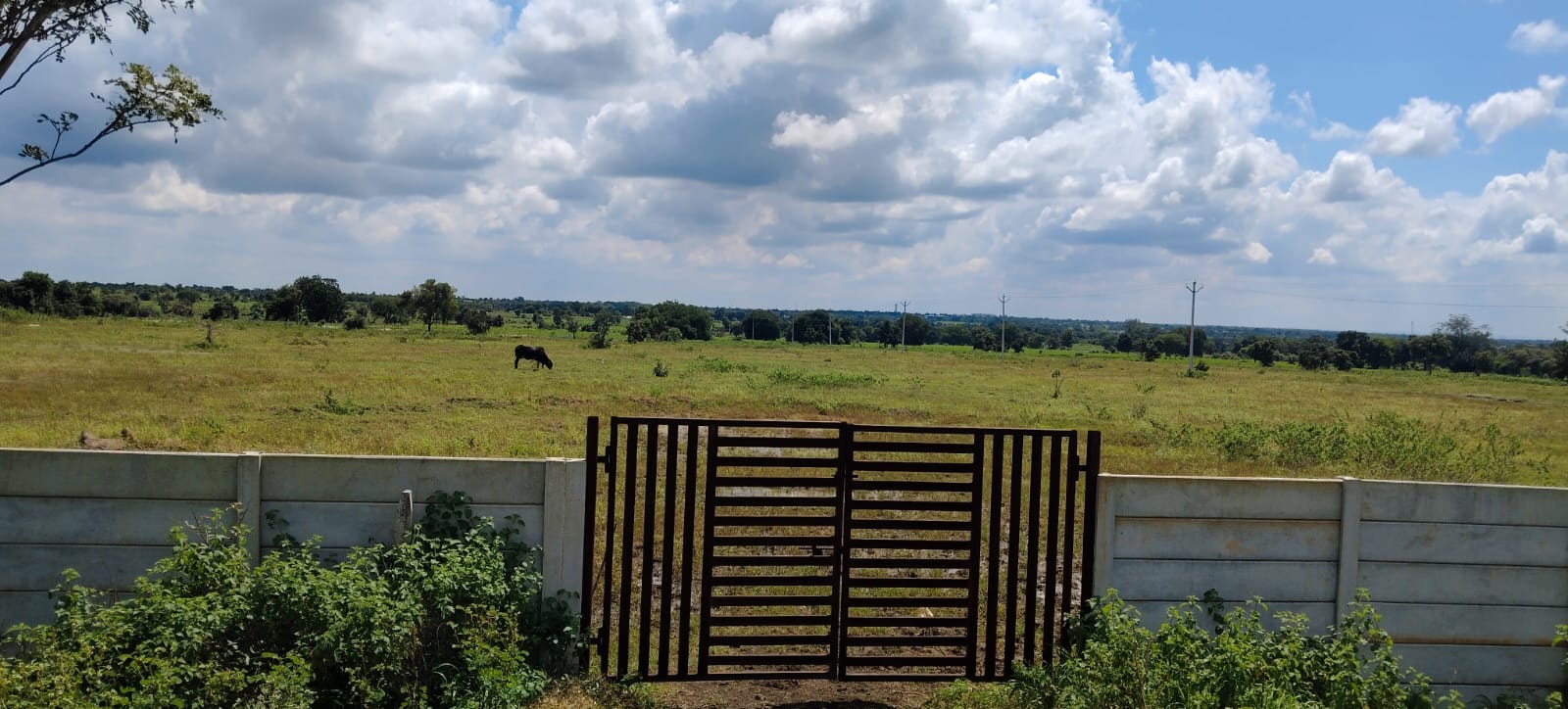Land for sale - Vikarabad, Telangana