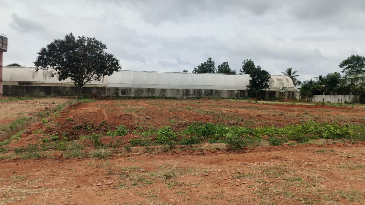 Premium DC Converted Plots - Bangalore