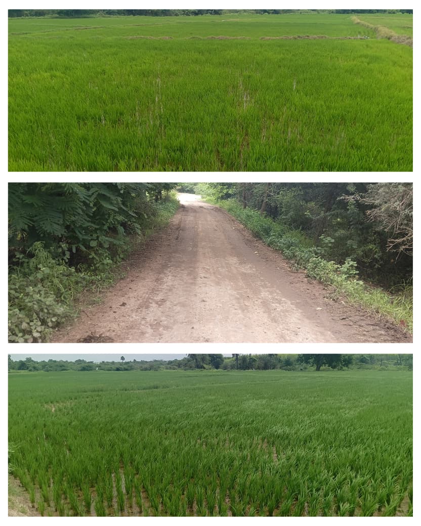 Agricultural Land for Sale