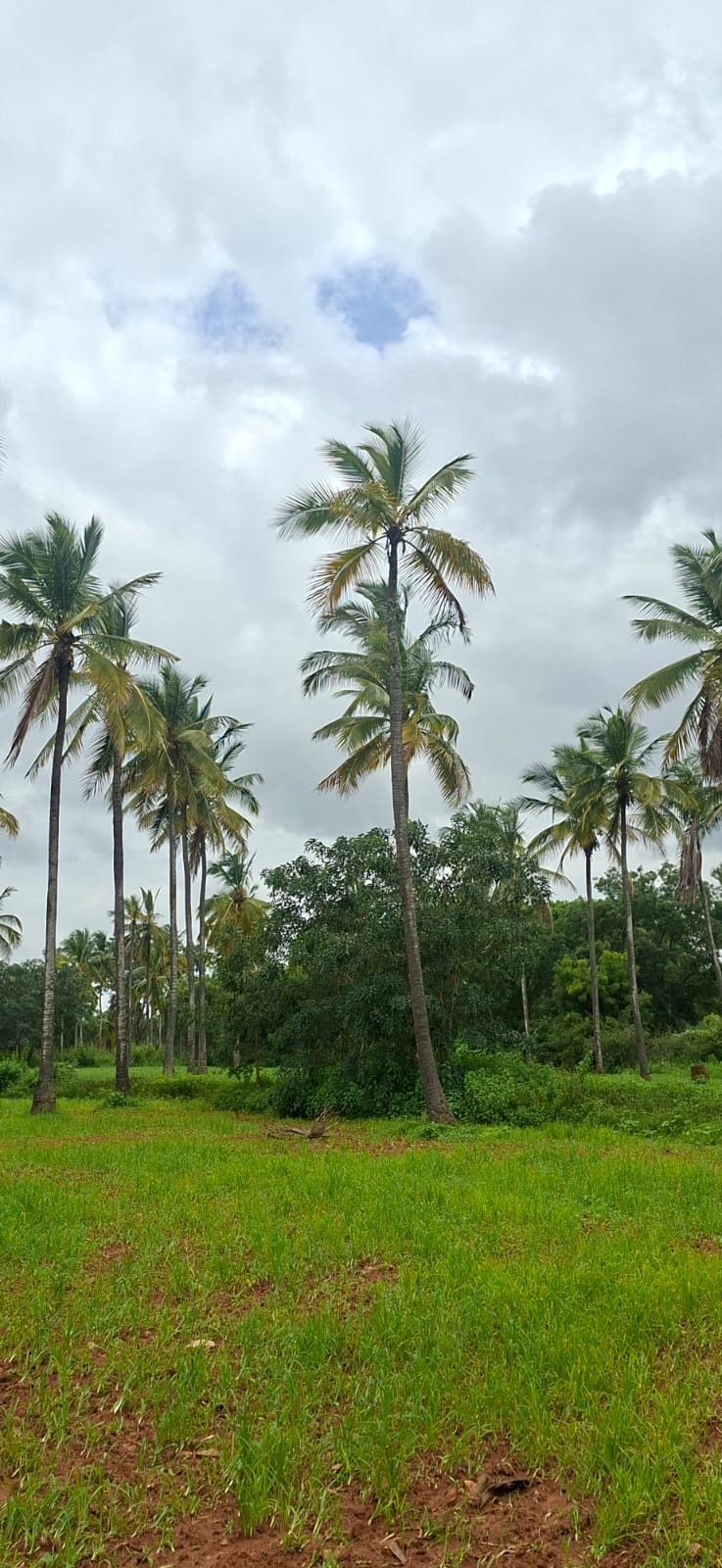 Residential Conversion land for Development - Lakshmipura Bangalore