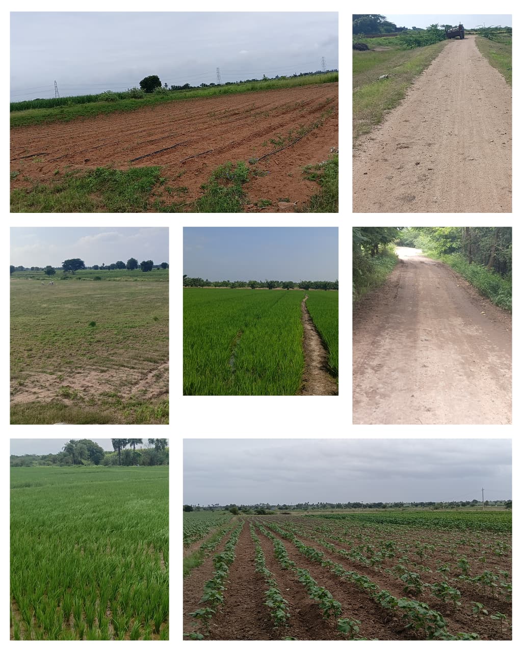 Agricultural Land for sale - Gadwal Telangana
