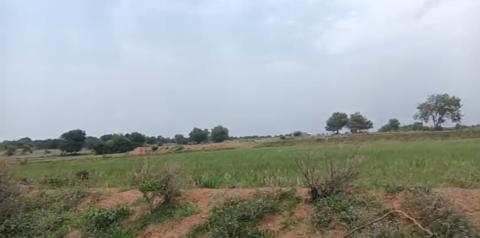 Land for sale - Janagoan Telangana