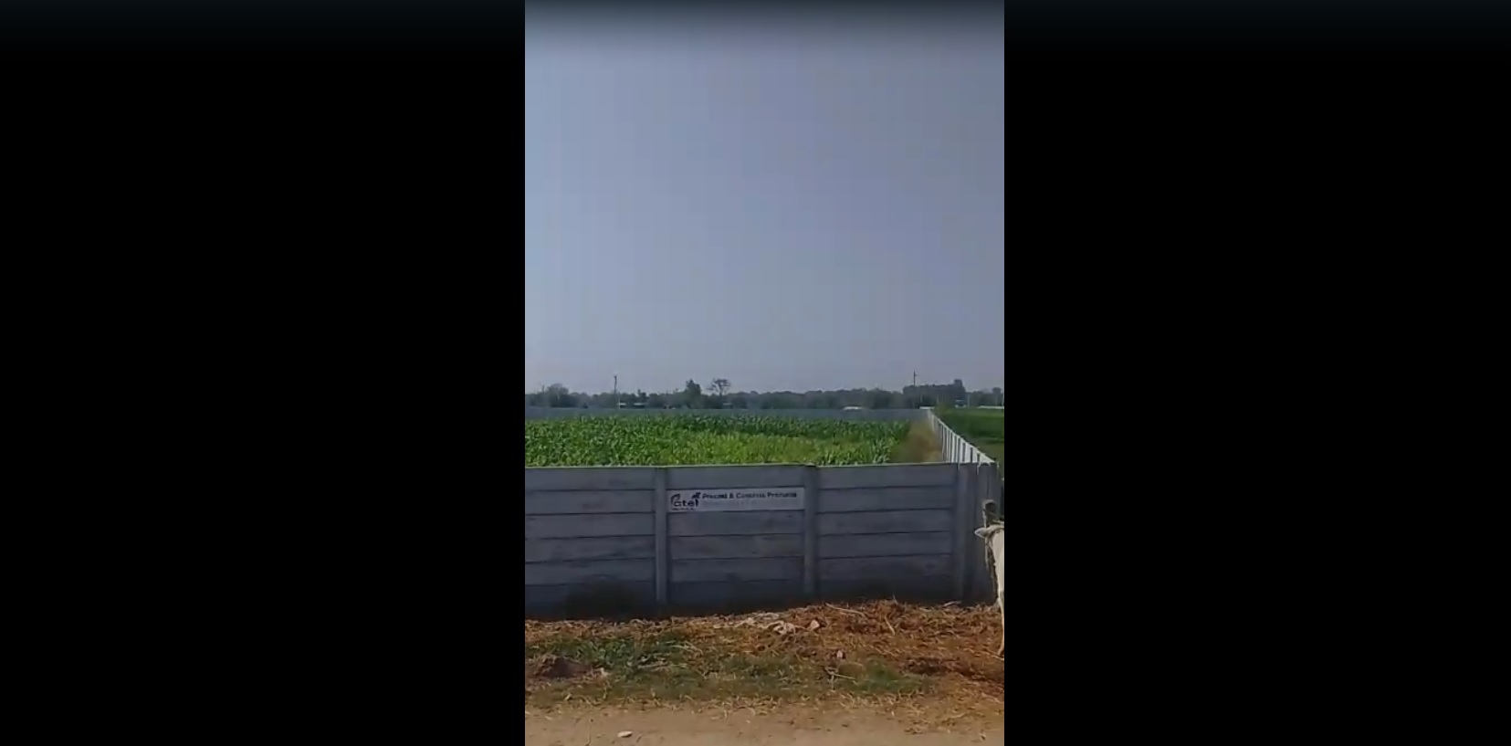 Land for sale in Gollagudem Telangana